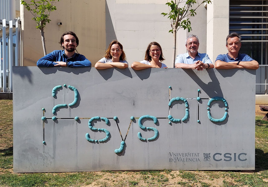 Integrants de l’I2SysBio a l’estudi. D’esquerra a dreta: Samuel Piquer-Esteban, Dafne Porcel Sanchis, Maria Dzunkova, Wladimiro Díaz Villanueva i Vicente Arnau Llombart.